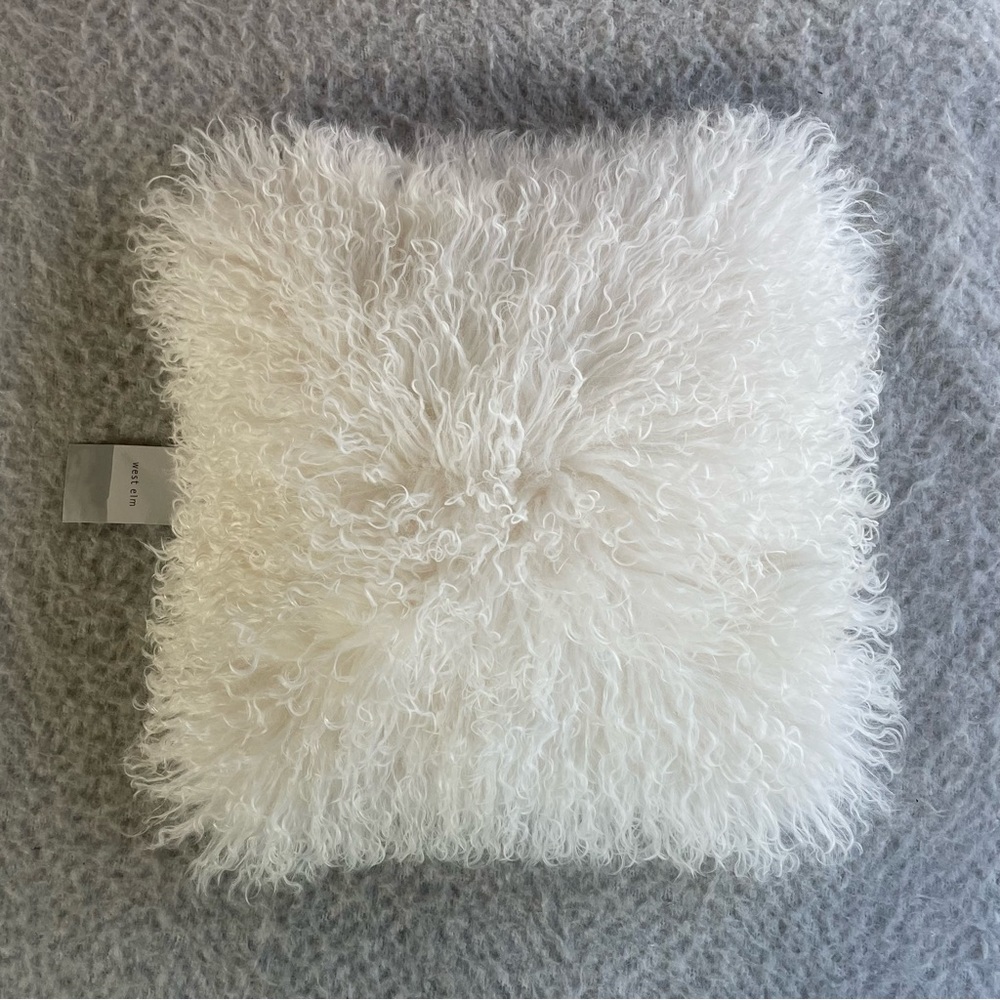 West Elm Mongolian Lamb throw pillow 16x16